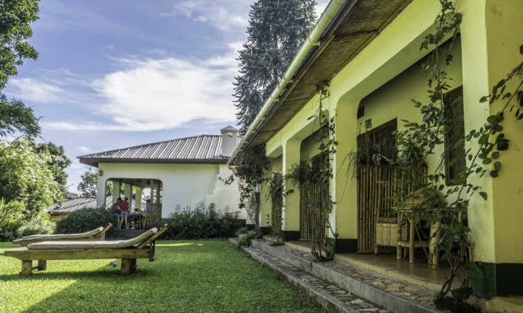 Affordable Lodging Options Near Kibale National Park - Budget-Friendly Stays