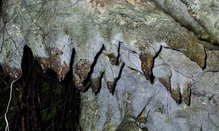 Amabere Ga Nyina Mwiru Caves - Exploring Uganda's Cultural & Natural Landmark