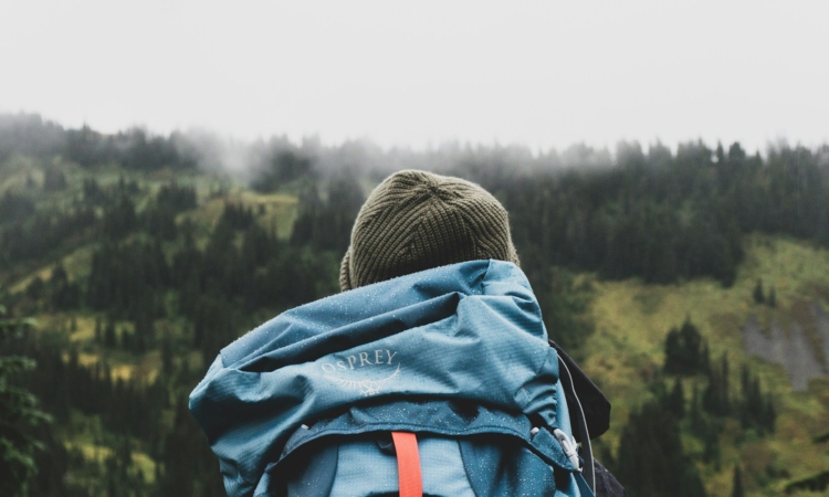 Backpacking in Kibale National Park - Chimpanzee Trekking & Nature Walks