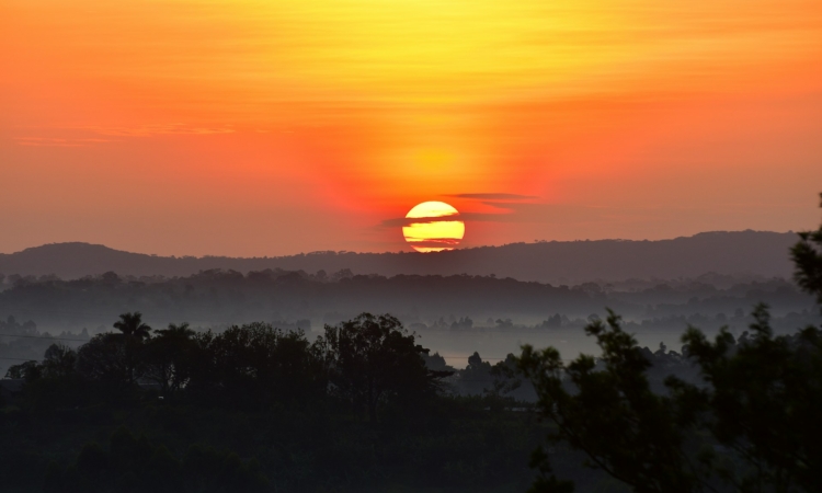 December in Kibale National Park - Chimpanzee Trekking & Cultural Experiences