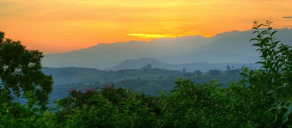 Detailed 2-Day Kibale Chimpanzee Trekking Tour in Uganda Itinerary