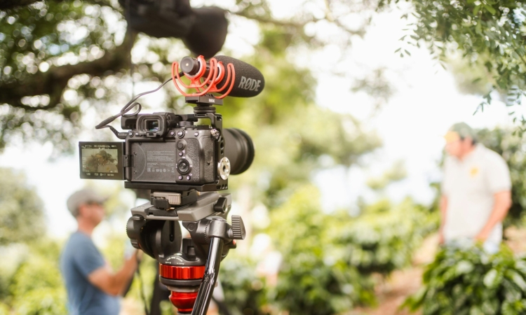 Filming in Kibale National Park - Permits, Guidelines & Procedures