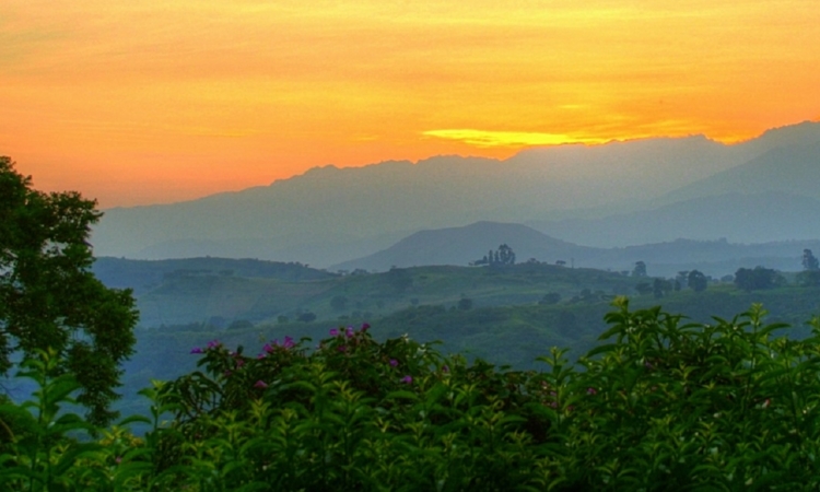 History of Kibale National Park - From Forest Reserve to Primate Sanctuary