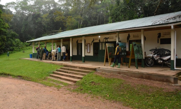 Kanyanchu Visitor Center - Gateway to Chimpanzee Trekking in Kibale National Park