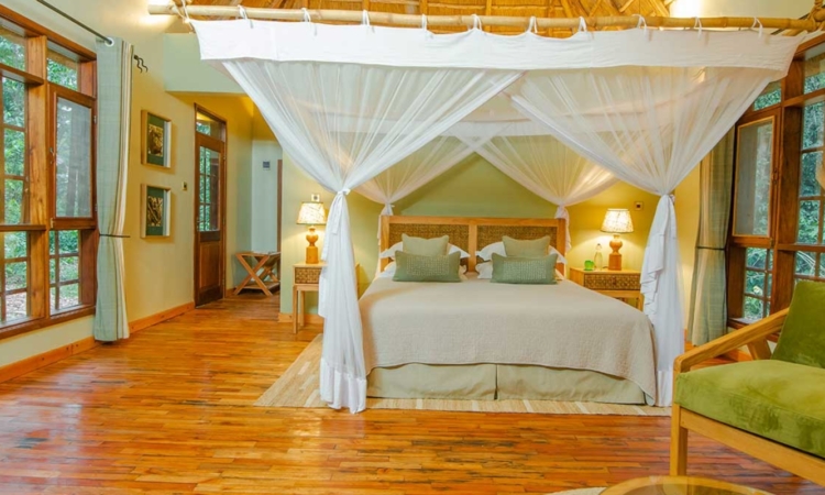 Luxury Lodges in Kibale National Park - Exclusive Stays Amidst Pristine Wilderness
