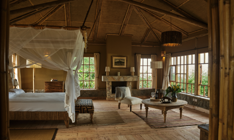 Luxury Tours in Kibale National Park - Exclusive Adventure Tours