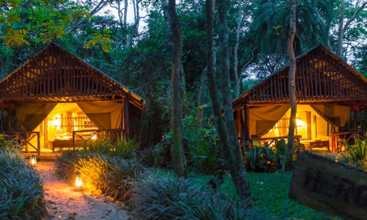 Mid-Range Accommodations in Kibale National Park - Comfortable Lodges