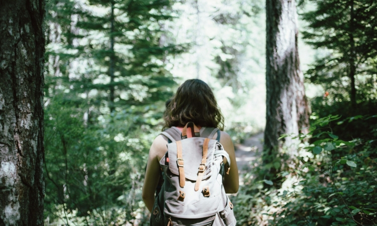 Nature Walks in Kibale National Park - Explore Primates, Birds & Diverse Habitats