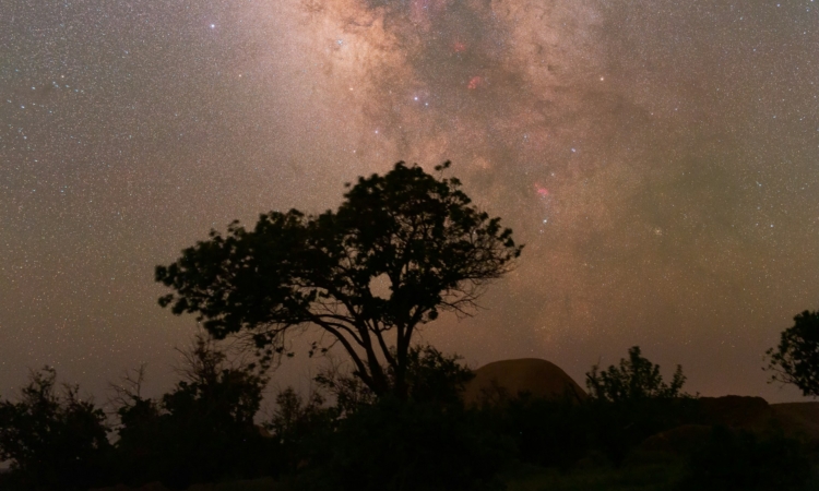 Stargazing in Kibale National Park - A Guide to Nighttime Activities