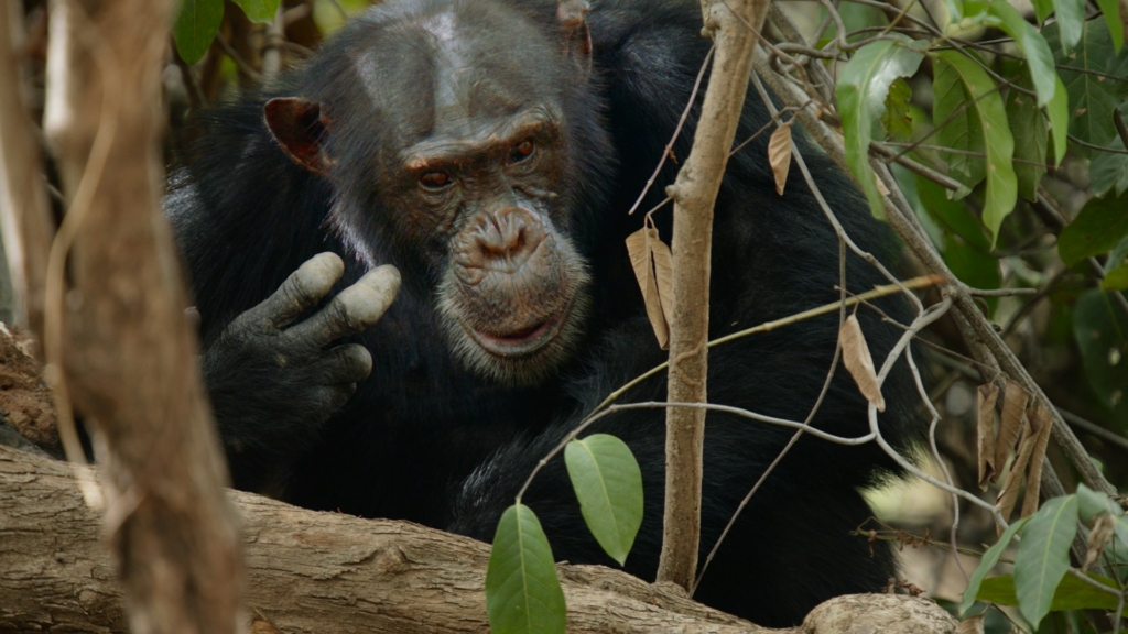3-Day Kibale National Park Tour Highlights