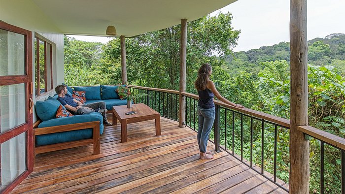 Best Time to Visit Kibale