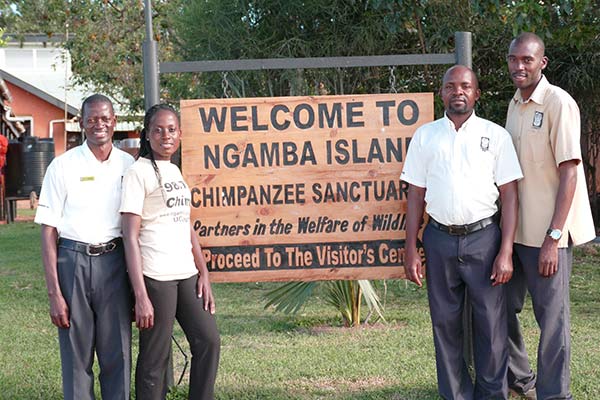 Chimpanzee Trekking in Ngamba Island Chimpanzee Sanctuary