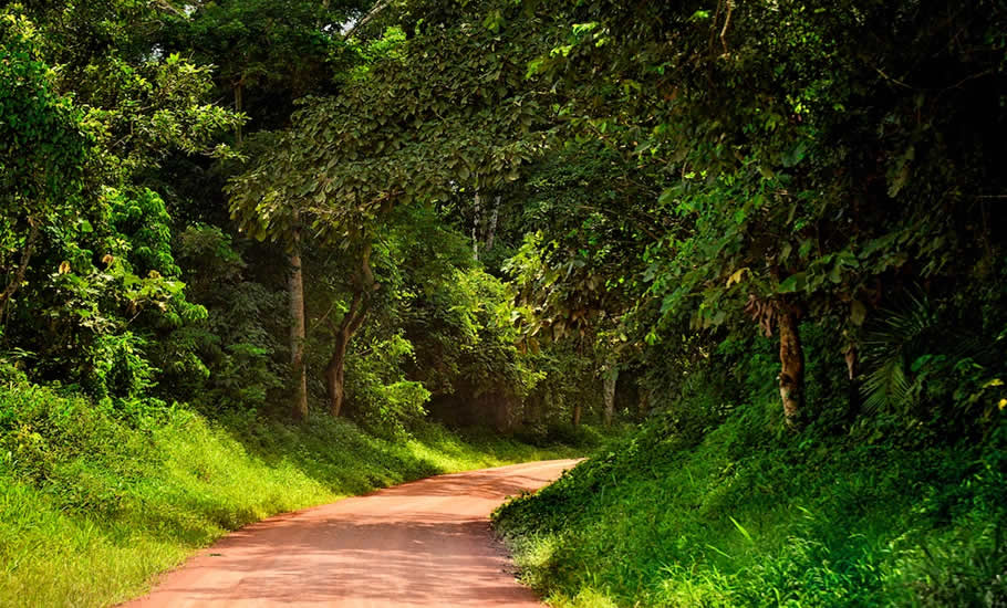 Detailed 3-Day Kibale National Park Tour Itinerary