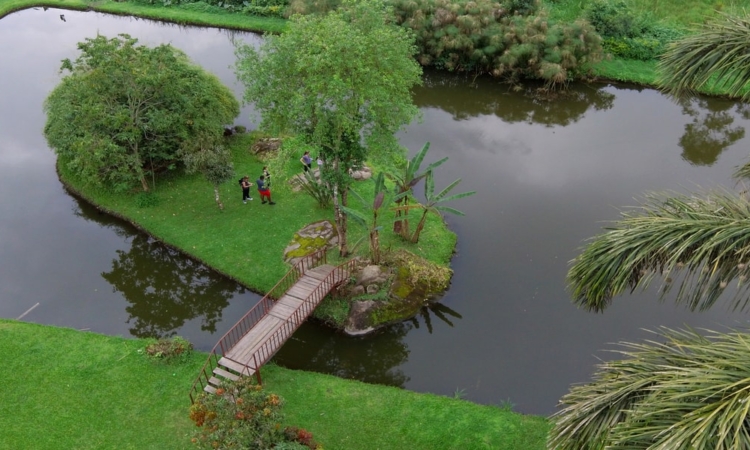 Tooro Botanical Gardens Fort Portal - Nature Walks & Bird-watching