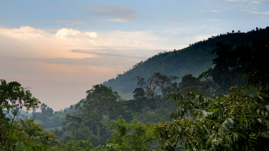 Top National Parks to Visit